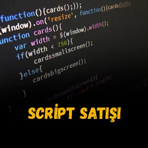 Website Script